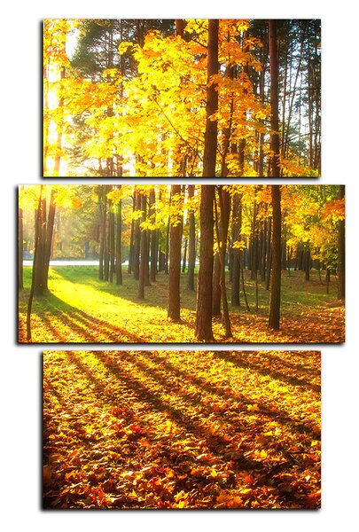 Slika na platnu - Jesenja šuma - pravokutnik 7176C (90x60 cm)