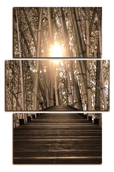 Slika na platnu - Drvena šetnica u šumi bambusa - pravokutnik 7172FC (90x60 cm)