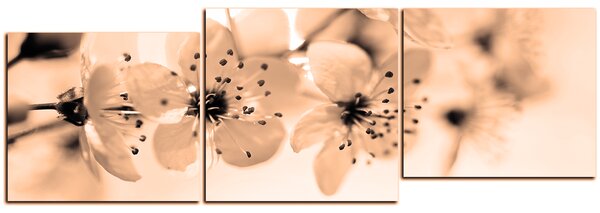 Slika na platnu - Mali cvjetovi na grani - panorama 5173FE (90x30 cm)