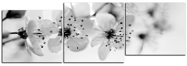 Slika na platnu - Mali cvjetovi na grani - panorama 5173QE (90x30 cm)