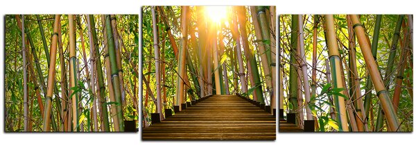 Slika na platnu - Drvena šetnica u šumi bambusa - panorama 5172D (90x30 cm)