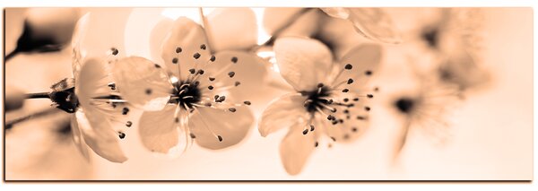 Slika na platnu - Mali cvjetovi na grani - panorama 5173FA (105x35 cm)