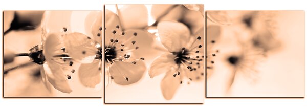 Slika na platnu - Mali cvjetovi na grani - panorama 5173FD (90x30 cm)