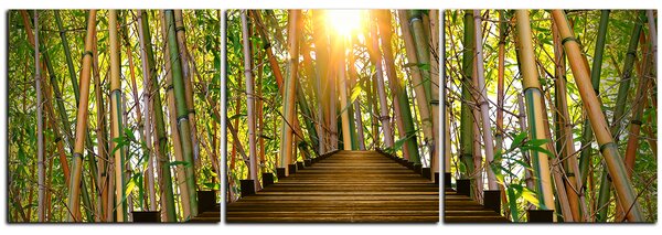 Slika na platnu - Drvena šetnica u šumi bambusa - panorama 5172B (90x30 cm)