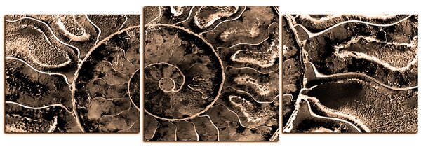 Slika na platnu - Tekstura fosila - panorama 5174FD (90x30 cm)
