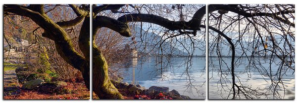 Slika na platnu - Jesen kraj jezera - panorama 5198C (90x30 cm)