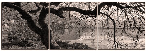 Slika na platnu - Jesen kraj jezera - panorama 5198QB (90x30 cm)