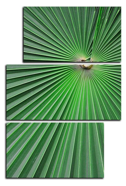 Slika na platnu - Tropsko lišće - pravokutnik 7205D (105x70 cm)