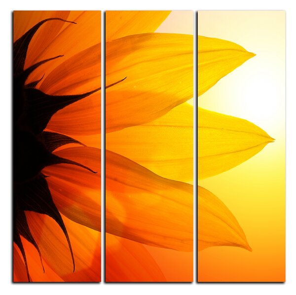 Slika na platnu - Cvijet suncokreta - kvadrat 3201B (75x75 cm)