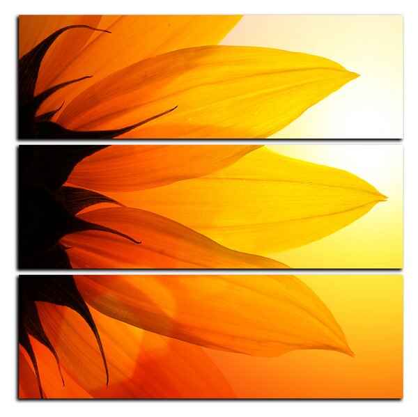 Slika na platnu - Cvijet suncokreta - kvadrat 3201D (75x75 cm)