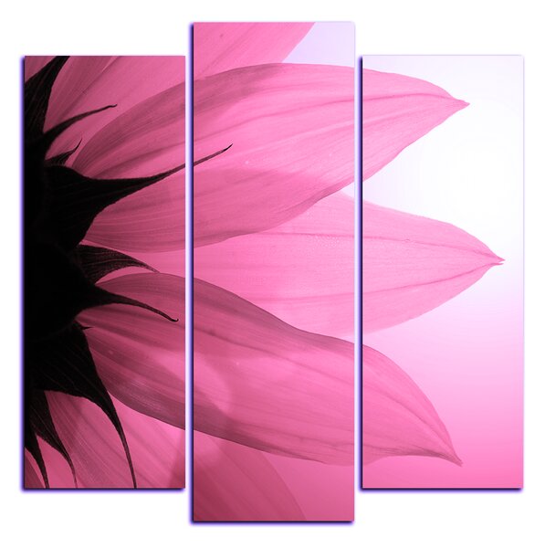 Slika na platnu - Cvijet suncokreta - kvadrat 3201VC (75x75 cm)