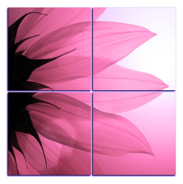 Slika na platnu - Cvijet suncokreta - kvadrat 3201VE (60x60 cm)