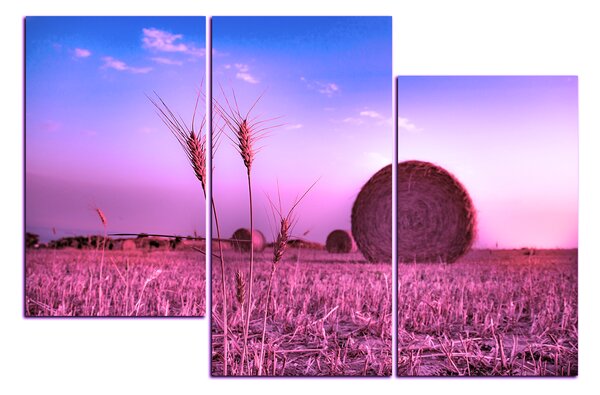 Slika na platnu - Stogovi sijena u polju 1211VD (90x60 cm)
