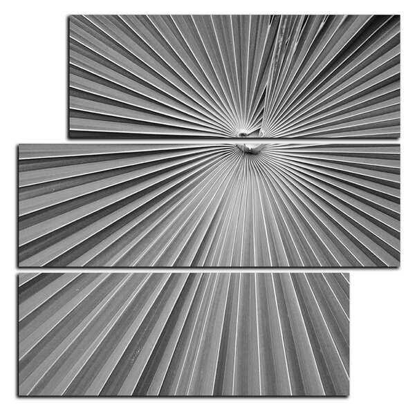 Slika na platnu - Tropsko lišće - kvadrat 3205QD (75x75 cm)