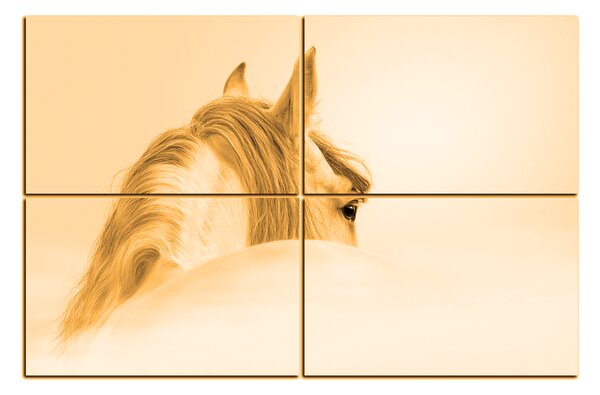 Slika na platnu - Andaluzijski konj u magli 1219FE (90x60 cm)