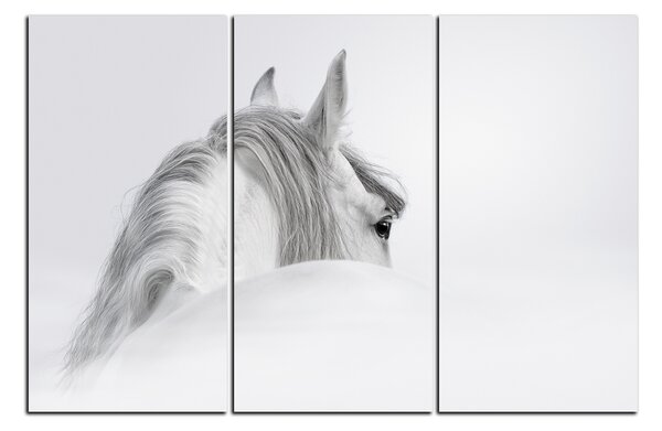Slika na platnu - Andaluzijski konj u magli 1219B (90x60 cm )
