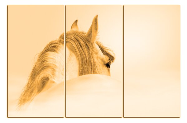 Slika na platnu - Andaluzijski konj u magli 1219FB (90x60 cm )