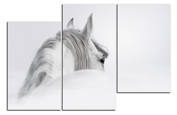 Slika na platnu - Andaluzijski konj u magli 1219D (90x60 cm)