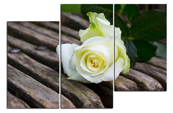 Slika na platnu - Bijela ruža na klupi 1224D (90x60 cm)
