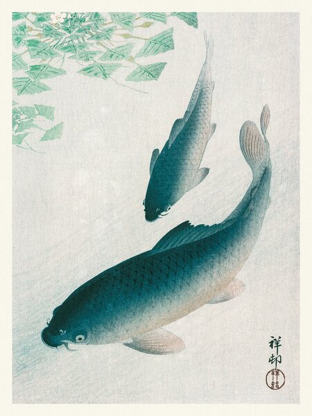 Reprodukcija umjetnosti Two Carp Fish (Japandi Vintage) - Ohara Koson, (30 x 40 cm)