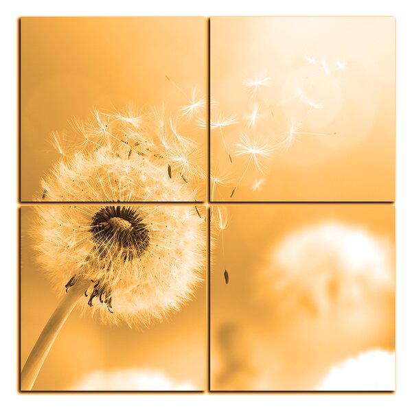 Slika na platnu - Maslačak na jutarnjem suncu - kvadrat 3214FE (60x60 cm)