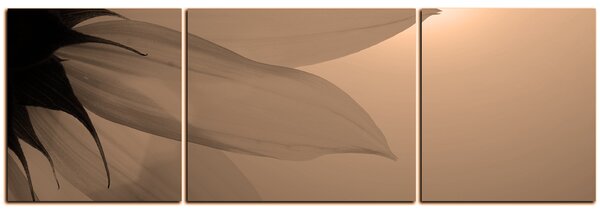 Slika na platnu - Cvijet suncokreta - panorama 5201FC (90x30 cm)