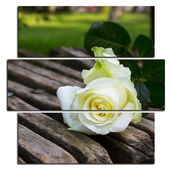 Slika na platnu - Bijela ruža na klupi - kvadrat 3224D (75x75 cm)
