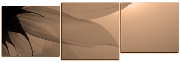 Slika na platnu - Cvijet suncokreta - panorama 5201FD (90x30 cm)