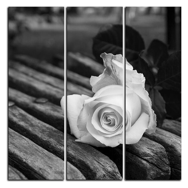 Slika na platnu - Bijela ruža na klupi - kvadrat 3224QB (75x75 cm)