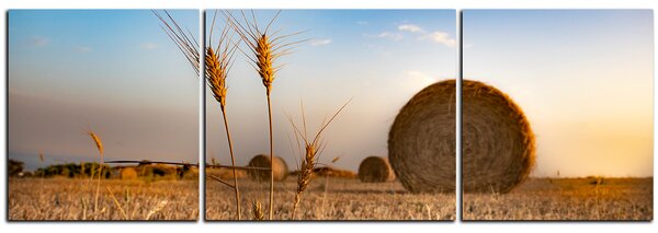 Slika na platnu - Stogovi sijena u polju - panorama 5211C (90x30 cm)