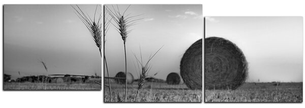 Slika na platnu - Stogovi sijena u polju - panorama 5211QE (90x30 cm)