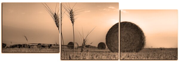 Slika na platnu - Stogovi sijena u polju - panorama 5211FE (90x30 cm)
