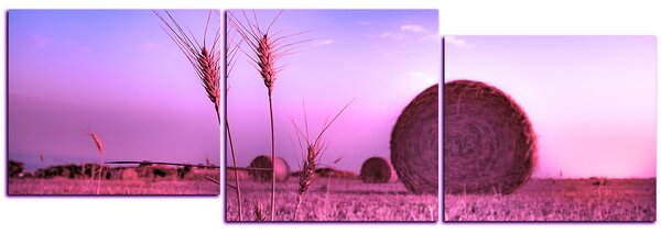 Slika na platnu - Stogovi sijena u polju - panorama 5211VE (90x30 cm)