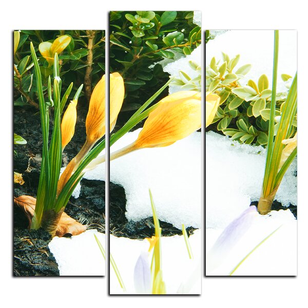 Slika na platnu - Rano proljetno cvijeće - kvadrat 3242C (75x75 cm)