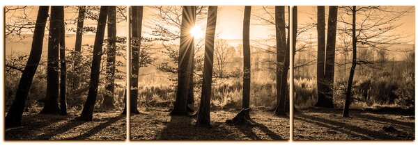 Slika na platnu - Jesenje jutro u šumi - panorama 5251FC (150x50 cm)