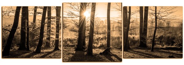 Slika na platnu - Jesenje jutro u šumi - panorama 5251FD (150x50 cm)