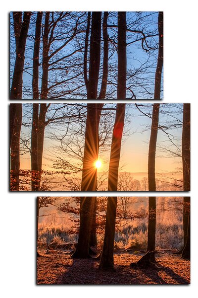 Slika na platnu - Jesenje jutro u šumi - pravokutnik 7251D (90x60 cm)