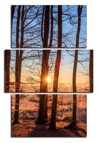 Slika na platnu - Jesenje jutro u šumi - pravokutnik 7251C (90x60 cm)