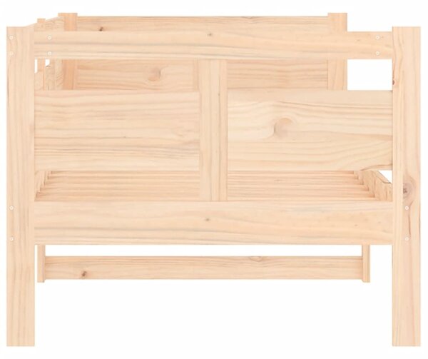 Dnevni ležaj od masivne borovine 80 x 200 cm - Smeđa / 80 x 200 cm