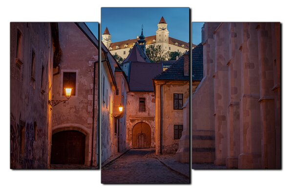 Slika na platnu - Stari grad Bratislave s dvorcem u pozadini 1265C (90x60 cm)