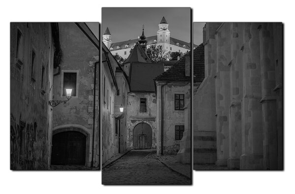 Slika na platnu - Stari grad Bratislave s dvorcem u pozadini 1265QC (90x60 cm)