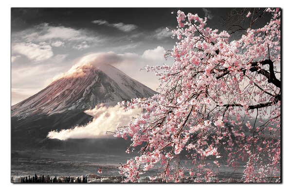 Slika na platnu - Planina Fuji i cvjetanje trešnje u proljeće 1266QA (60x40 cm)
