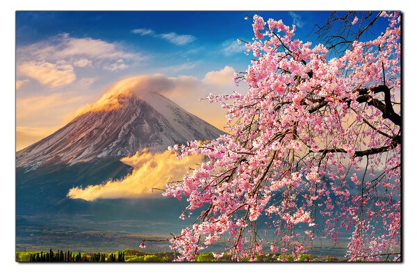 Slika na platnu - Planina Fuji i cvjetanje trešnje u proljeće 1266A (60x40 cm)