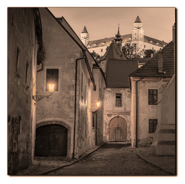 Slika na platnu - Stari grad Bratislave s dvorcem u pozadini - kvadrat 3265FA (50x50 cm)