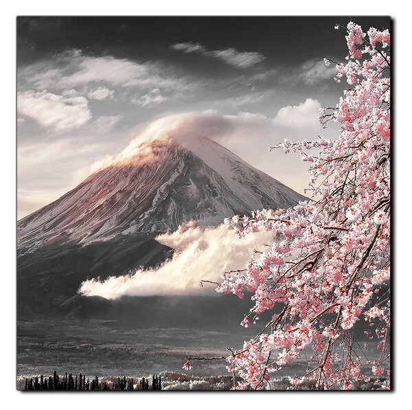 Slika na platnu - Planina Fuji i cvjetanje trešnje u proljeće - kvadrat 3266QA (50x50 cm)