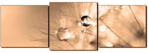 Slika na platnu - Maslačak s kapljicama rose - panorama 5262FD (90x30 cm)