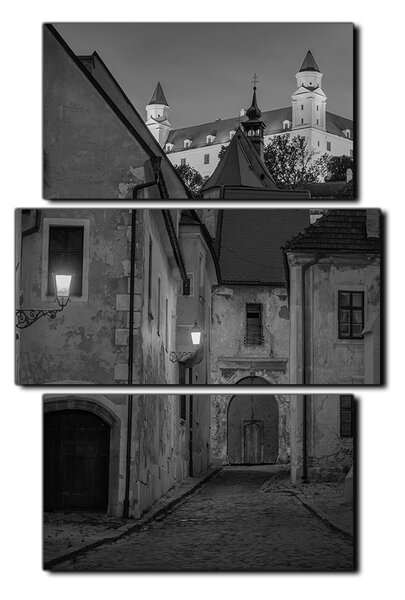 Slika na platnu - Stari grad Bratislave s dvorcem u pozadini - pravokutnik 7265QC (90x60 cm)