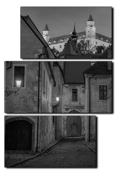 Slika na platnu - Stari grad Bratislave s dvorcem u pozadini - pravokutnik 7265QD (90x60 cm)