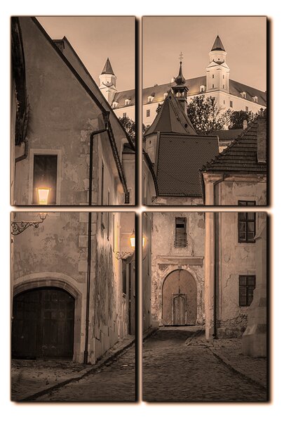 Slika na platnu - Stari grad Bratislave s dvorcem u pozadini - pravokutnik 7265FE (90x60 cm)