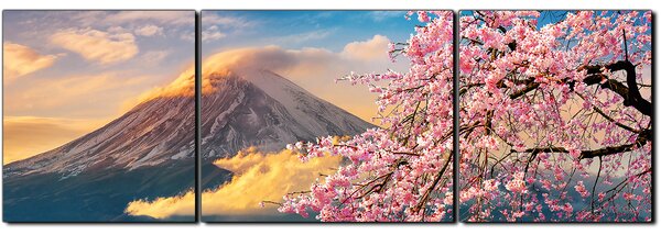 Slika na platnu - Planina Fuji i cvjetanje trešnje u proljeće - panorama 5266C (90x30 cm)